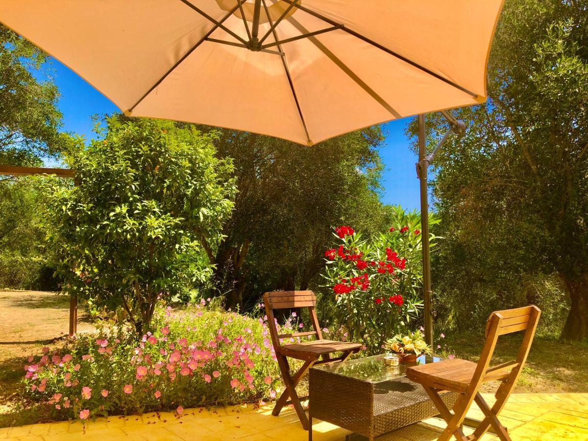 Armonia Corfu Luxury Apartment Liapades Zewnętrze zdjęcie