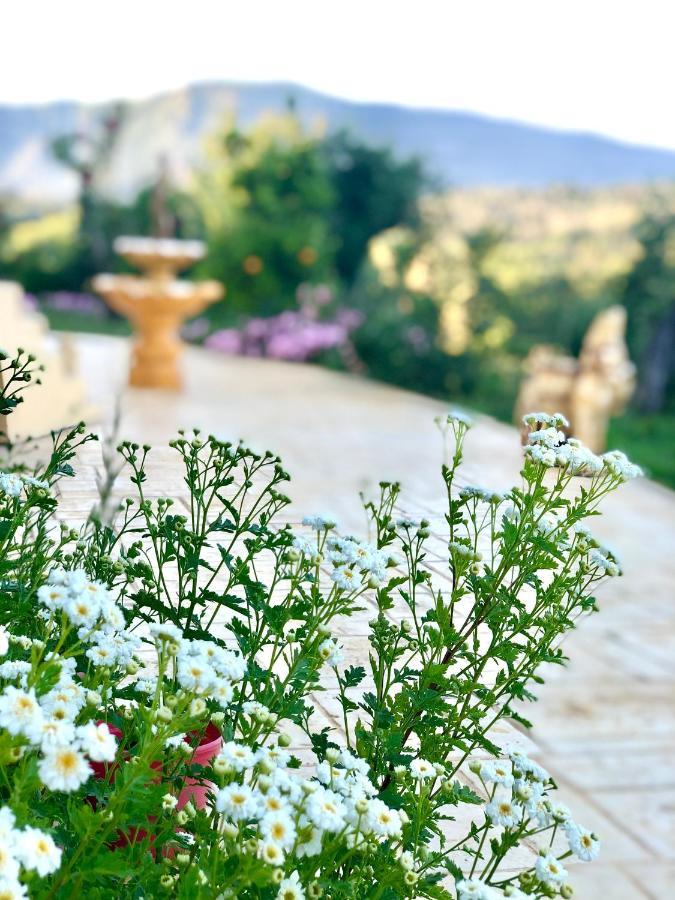 Armonia Corfu Luxury Apartment Liapades Zewnętrze zdjęcie