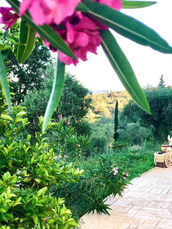 Armonia Corfu Luxury Apartment Liapades Zewnętrze zdjęcie